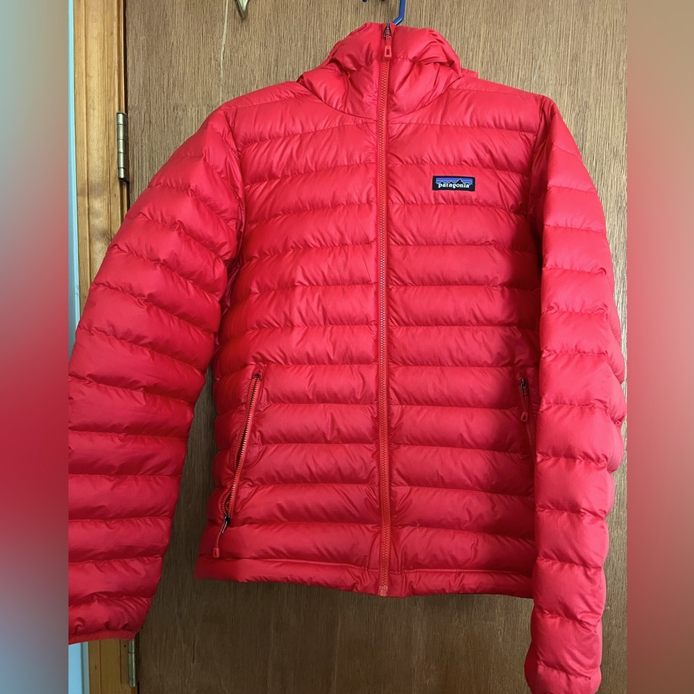 Patagonia Down Sweater Hoody